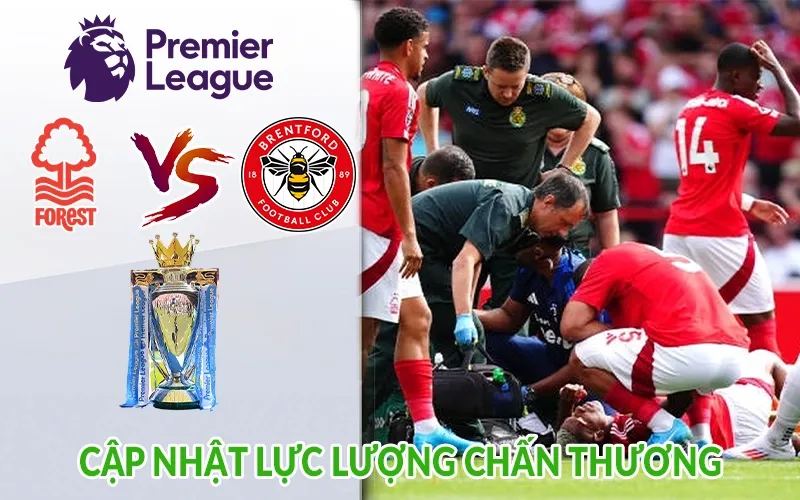 Cập nhật lực lượng chấn thương