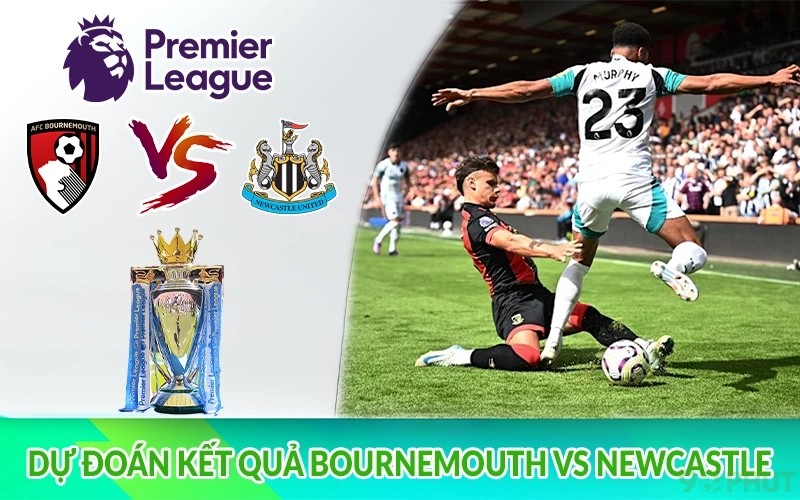 Dự đoán kết quả Bournemouth vs Newcastle