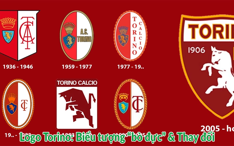 Logo Torino: Biểu tượng "bò đực" & Thay đổi