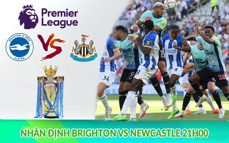 Nhận định Brighton vs Newcastle 21h00