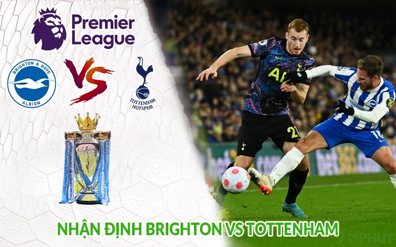 Nhận định Brighton vs Tottenham
