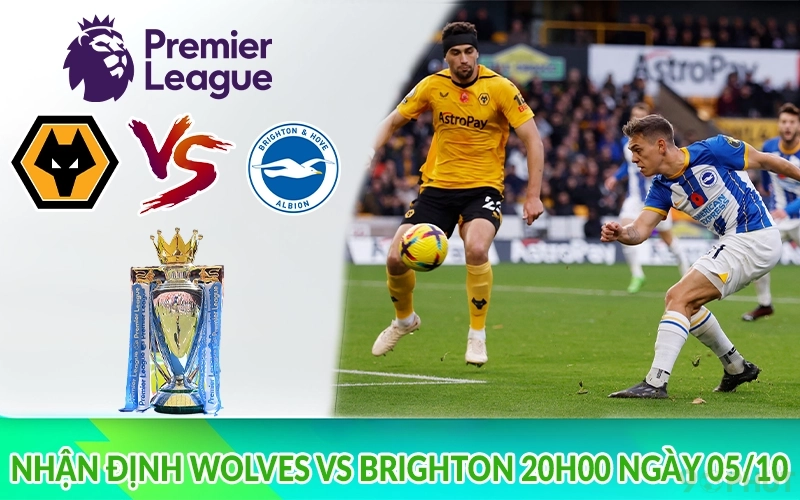 Nhận định Wolves vs Brighton 20h00 ngày 05/10