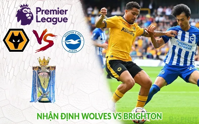 Nhận định Wolves vs Brighton