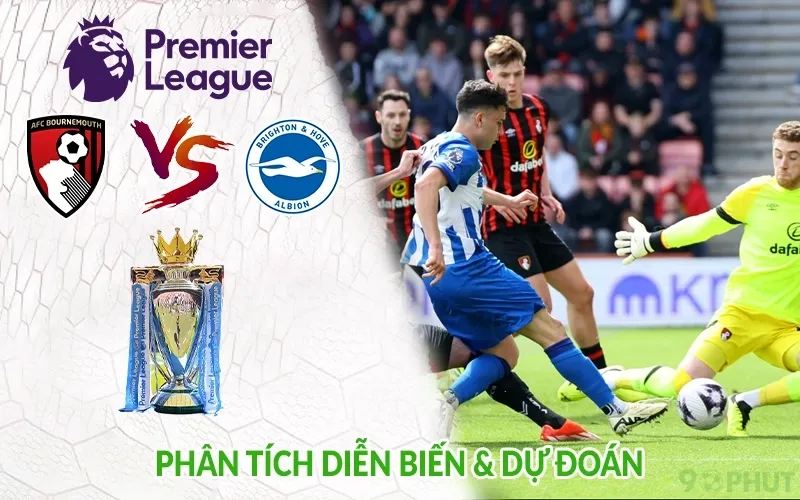 Phân tích diễn biến & Dự đoán