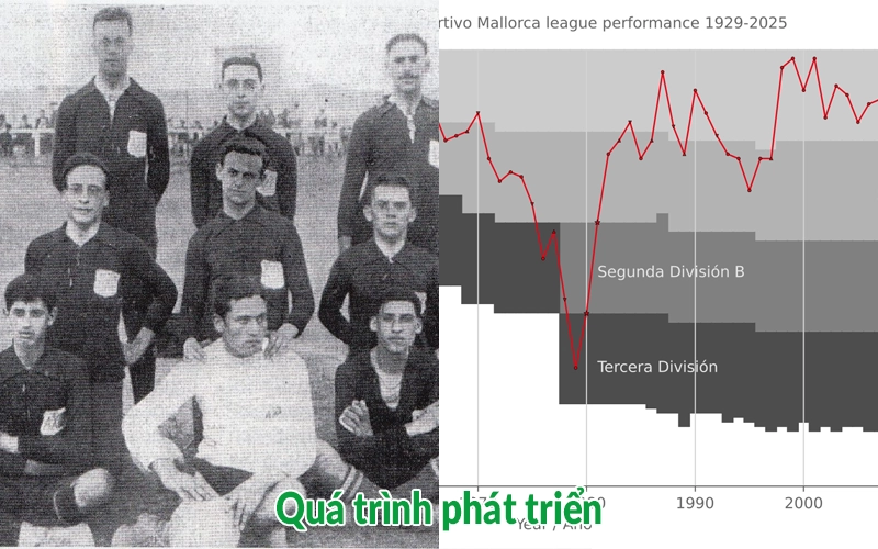 Quá trình phát triển