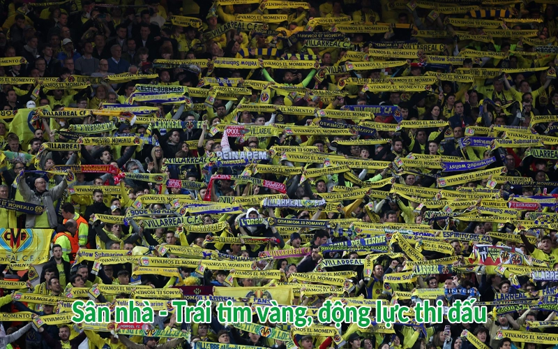 Sân nhà - Trái tim vàng, động lực thi đấu