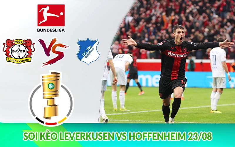 Soi kèo Leverkusen vs Hoffenheim 23-08