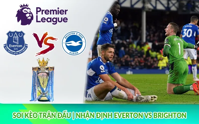 Soi kèo trận đấu - Nhận định Everton vs Brighton