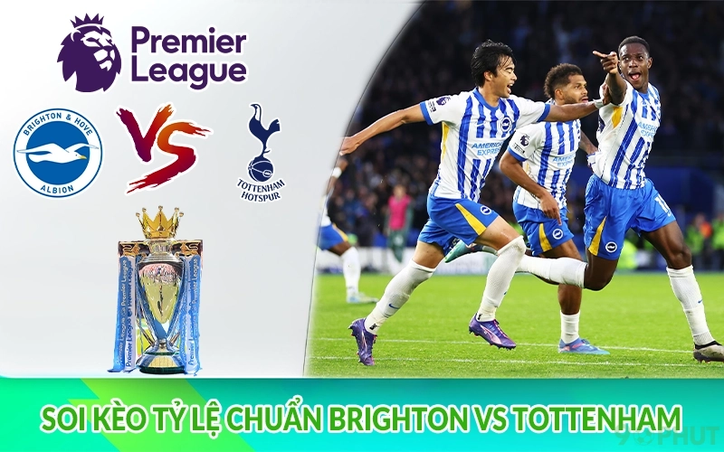Soi kèo tỷ lệ chuẩn Brighton vs Tottenham