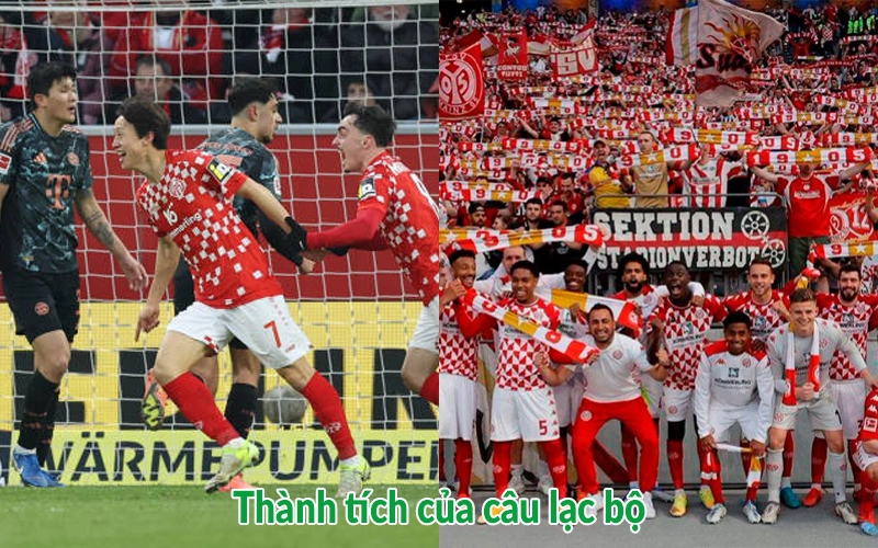 Thành tích của câu lạc bộ