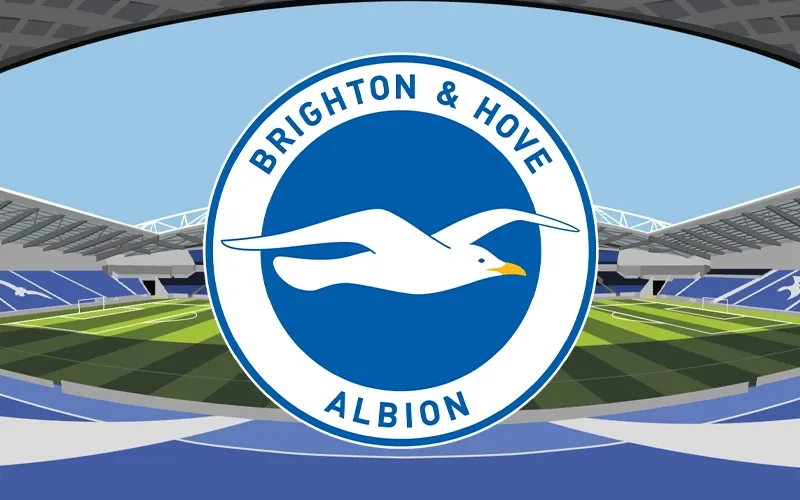Tiểu sử Brighton & Hove Albion