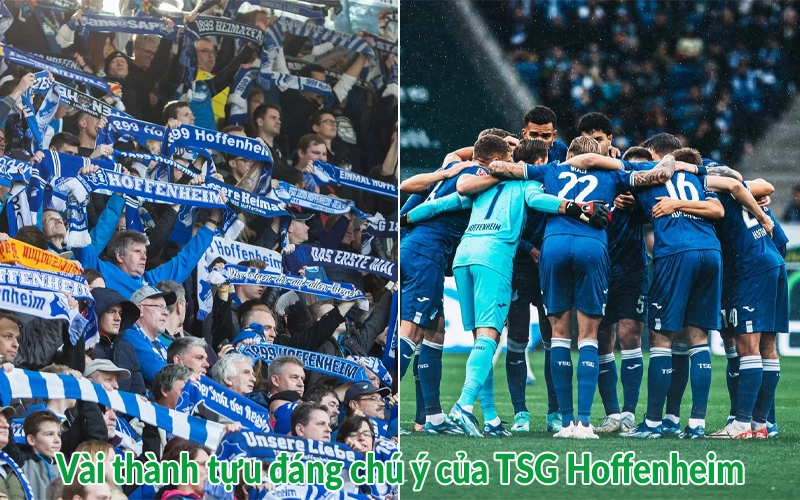 Vài thành tựu đáng chú ý của TSG Hoffenheim